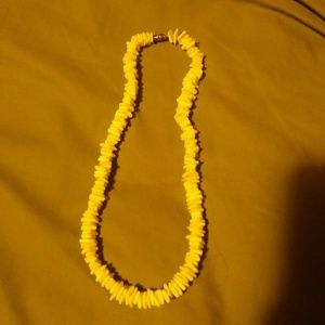 Shell necklace